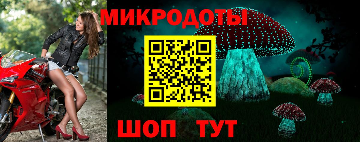 Псилоцибиновые грибы Psilocybine cubensis  Вход с VPN  Ахтубинск 